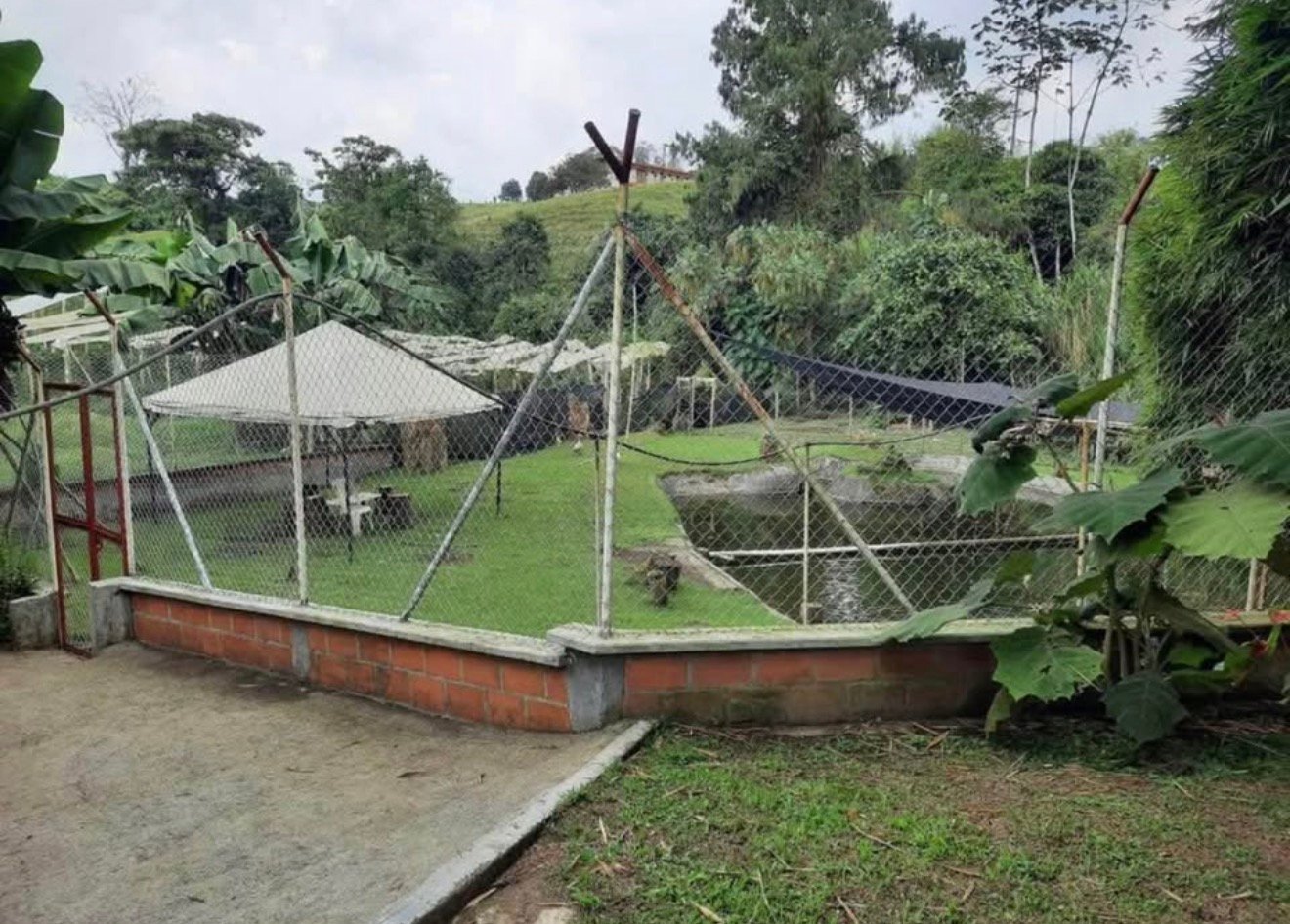 Entorno verde y agua en la finca